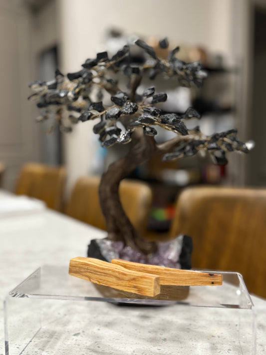 Palo Santo Sacred Sticks - Charged by Lionsgate + Full Moon